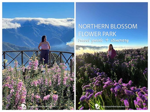 2025 NORTHERN BLOSSOM FLOWER FARM ATOK, BENGUET: DIY TRAVEL GUIDE