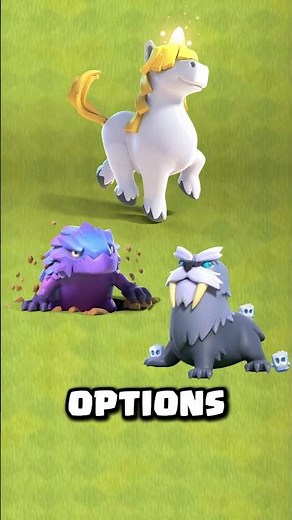 Best Hero Pet Combinations That Will DOMINATE in 2025!