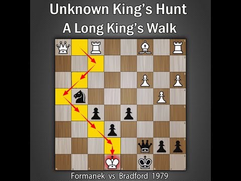 An Unknown King's Hunt | Formanek vs Bradford 1979