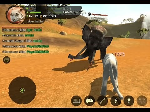 "The Tiger" Game! | Epic Jungle Hunt & Adventure 🐅🎮