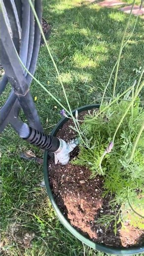 Honest Reviews! Zero G Hose Review 🌿 Best Lightweight Garden Hose for Summer.