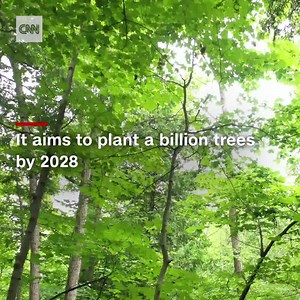 344K views · 1.9K reactions | This fleet of drones aims to plant a billion trees to fight deforestation, wildfires and climate change. Sponsored by Samsung https://cnn.it/3xGTMcj | CNN Business | Facebook