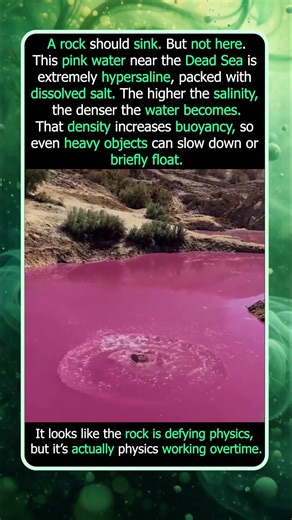 This Rock Won’t Sink in a Pink Salt Lake