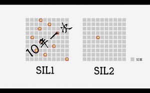 8年没弄明白的SIS，看完本视频3分钟就懂了