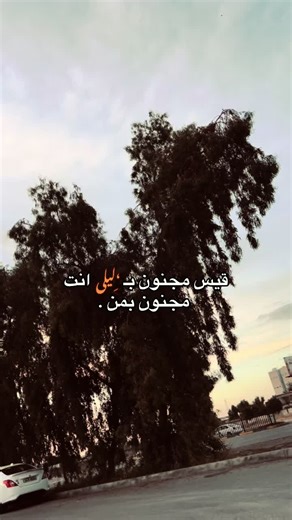 قيس مجنون بـ ليلى