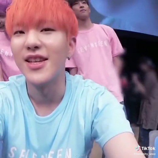 Hilarious Wonwoo Tickling Moments with Seventeen Members