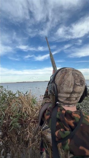 Argentina Waterfowl Hunt
