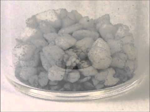 Catalytic hydrogen generation: Hydrolysis of sodium borohydride NaBH4 - "Just add water"