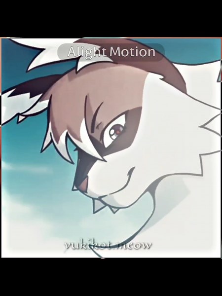 Hawkfrost Warrior Cats Edit: Creative Video Compilation