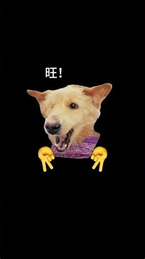 Ding-Ding-Ding Celebration Dance | Village Dog Fun | 😄 Emoticon Craze
