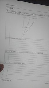 Mathematics AssignmentQUESTION 47Copyright reservedPlease... | Filo