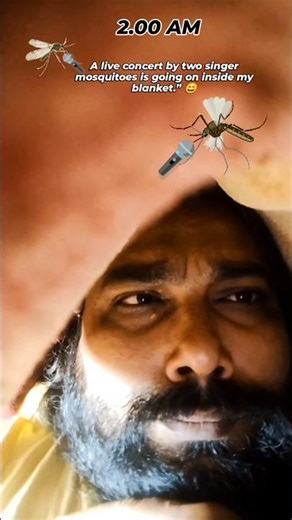 Jab do gaayak mere lep ke andar program karte hain 🦟 #comedyshorts #mosquito #whatssofunny #reels