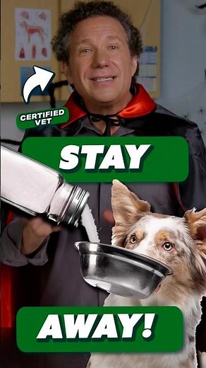 Can SALT Really Harm Your Dog? Vet Explains!