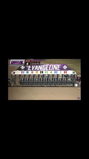 Congratulations to Shezastreakineagle (Eagle Deluxe--Cooling Water) on a win this past weekend at Evangeline Downs! | Spring Hill Farms