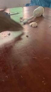 1M views · 4.5K reactions | XDoll Hub Future on Reels | Facebook