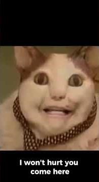 BOO, ARE YOU SCARED? DON'T BE AFRAID! I'M A FRIEND! #boo #boomemes #areuscared