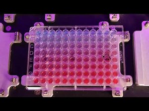 45-Second Normalization for 96-Well Plate