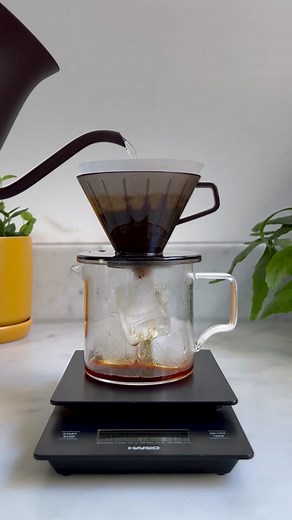 Filter roast available Feb 11 👀 #goldenbrowncoffee #coffeetiktok #barista #learnontiktok #homecafe #foodietiktok #filtercoffee #pourover #icedcoffee