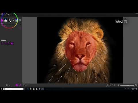 Durchstarten mit Photo Mirage - Schnell und einfach Bilder animieren