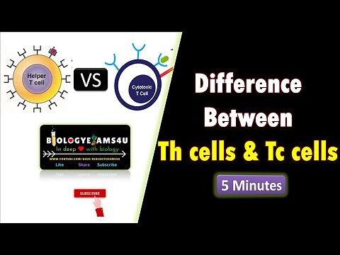 Difference between Th cells and Tc cells (T Helper cells vs T Cytotoxic cells)