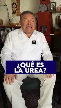 ¿QUÉ ES LA UREA?