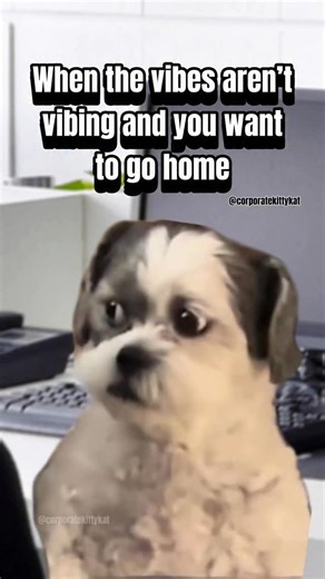 5.7K views · 901 reactions | The vibes are giving… PTO request 廊 #workhumor #worklife #officelife #corporatelife #coworkers | Corporate Kitty Kat | Facebook