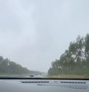 63K views · 866 reactions | O nevoeiro é tão denso em zonas do litoral centro que precipita! A1 Mealhada... 蘿 | Meteo Trás os Montes - Portugal | Facebook