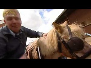 TIKABILLA Green frogs and Three Cornered Hats Part 2 in 2