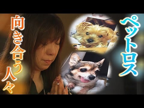 【ペットロス】「思い出したら涙が」２匹の犬が死んだ悲しみは今も...選んだのは“飼い主とペットが一緒に入れる”納骨堂「やっと落ち着くね」（2023年11月2日）