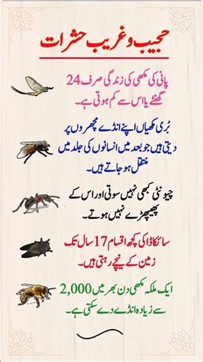5 Amazing & Mind-Blowing Facts About Insects You Didn't Know! #didyouknow #generalknowledge