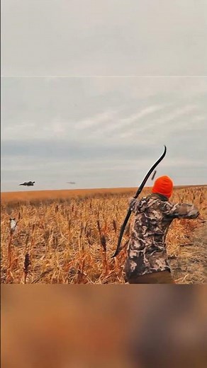 The Best Pheasant Hunt of the Season. #pheasanthunting #birdhunting #bird #hunting