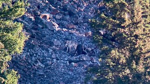 244K views · 1.5K reactions | My day in about 3 minutes. Epic day! | Tied To Nature | Facebook