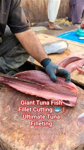 Giant Tuna Fish Fillet Cutting 🐟 #TunaFish #FishFillet #FishCutting #SeafoodShorts #FilletSkills