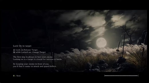 Mastering Genichiro Ashina in Sekiro