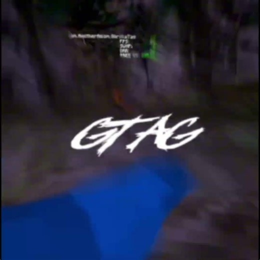 TOP 1 GORILLA TAG