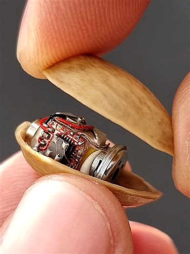 Pistachio Bluetooth Earbud: Nature Meets Technology