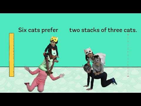 STACK THE CATS by Susie Ghahremani