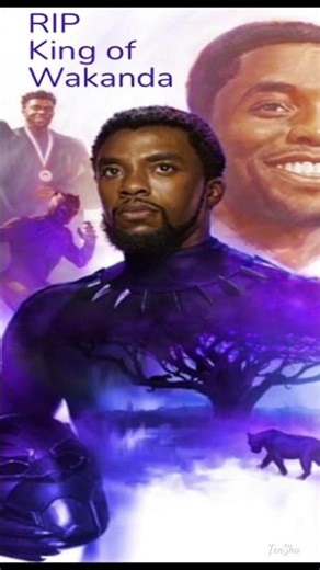 Honoring Stan Lee & Chadwick Boseman | Tribute to marvel Kings