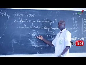 Course - Final Year - SVT: Genetics: Suite 2
