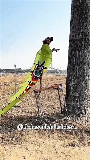 Priced near $1.5 million, the rare Mercedes CLR GTR is a true collector’s dream come true