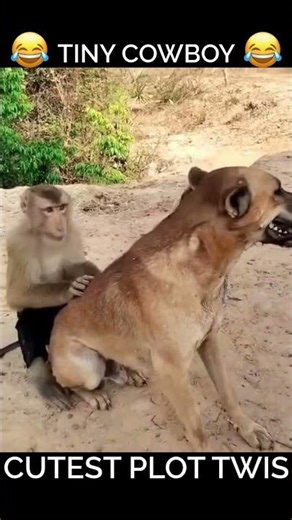 YOU WON'T BELIEVE THIS! 🤯 Monkey RIDES Dog... Then They FIGHT! 🐒🐶 (Epic Animal Duo Chaos!)