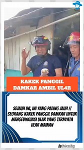 2.7K reactions · 55 comments | Seorang kakek panggil damkar untuk mengev4kuasi ular, yang ternyata ular mainan‼️ #info #viral #kocak #damkar | Dewi Kerisnawati | Facebook