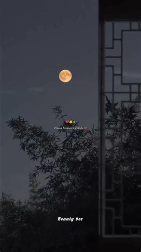 Endakay Endakay song 💔 some promises fade like rain on the glass