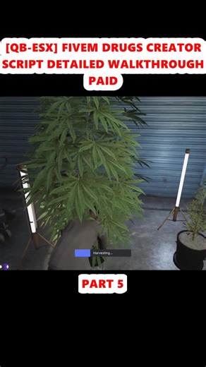 [QB-ESX] FIVEM DRUGS CREATOR SCRIPT DETAILED WALKTHROUGH PAID (5)
