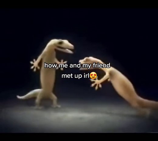 Lizard Hugging Meme - Funny Reptile Meet-Up Storytime