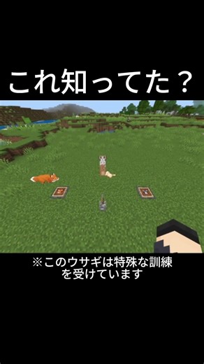 実はウサギって敵めっちゃ多い #マイクラ #マイクラ #マインクラフト #マインクラフト