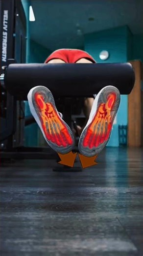 Ultimate Guide to Lying Leg Curl Variations! #legda #FitnessGoals #Hamstings #fitnesstips