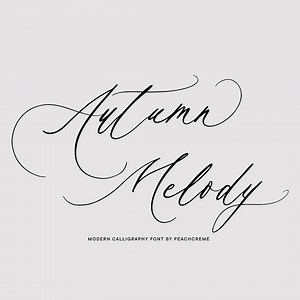 Wedding Font, Calligraphy Font, Wedding Font, Script Font, Handwritten Font , Calligraphy Script, Script Font, Cursive Handwriting Font - Etsy
