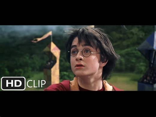 Harry and The Quidditch Match - Chamber of Secrets