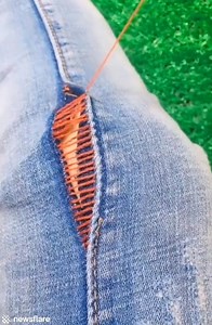 702K views · 3.2K reactions | Skilful woman shows incredible hand sewing tricks  | VT | Facebook